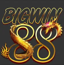 bigwin88